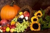 Jesień w pełni – Święto Dziękczynienia
 Obrazy do Jadalni Obraz