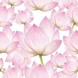 kwiatów lotosu Tapety Do przedpokoju Tapeta