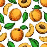 Morela rysunek Ręcznie rysowane owoce i Tapety Owoce i Warzywa Tapeta