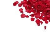 Płatki różane – romantyczna kompozycja w kolorach miłości
 Kwiaty Fototapeta