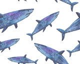 rekin magiczna akwarela ilustracja Tapety Do łazienki Tapeta