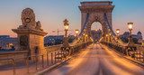 Strażnicy mostu. Budapeszt. Fototapety Mosty Fototapeta