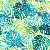Wzór liści tropikalnych z zieloną / niebieską palmą i Tapety Natura Tapeta