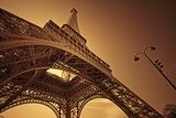 Żaba w Paryżu: Wieża Eiffela z perspektywy płaza
 Fototapety do Salonu Fototapeta
