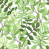 zielonych liści Tapety Natura Tapeta
