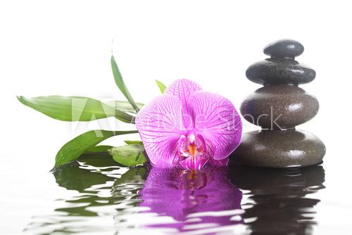 Orchidea i kamienie. Domowe SPA Fototapety do Łazienki Fototapeta