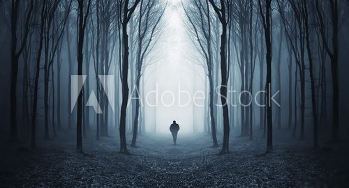 man in a dark forest  Las Fototapeta