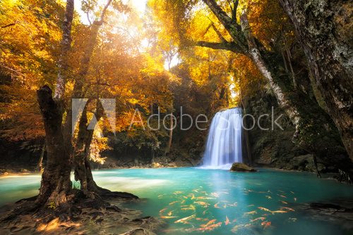 Deep forest Waterfall in Kanchanaburi, Thailand  Las Fototapeta