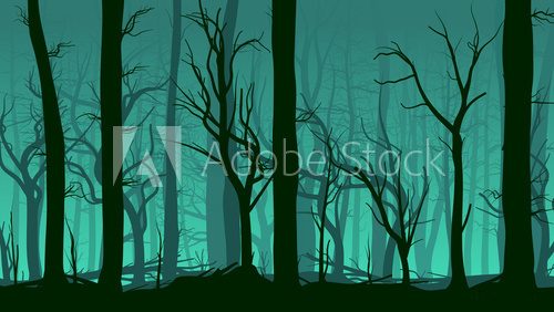 Horizontal illustration of pinewood forest.  Las Fototapeta