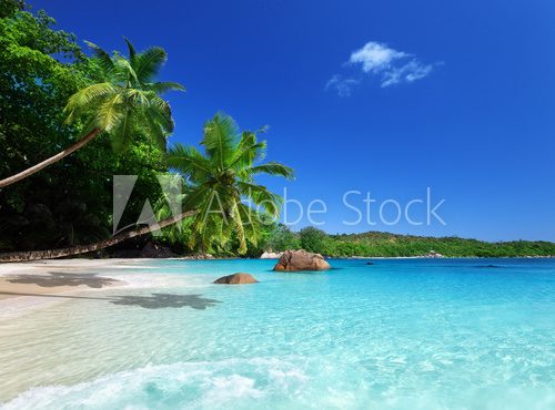 beach at Praslin island, Seychelles  Krajobraz Fototapeta