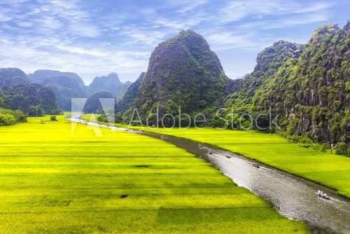 Rice field and river, NinhBinh, vietnam landscapes  Krajobraz Fototapeta