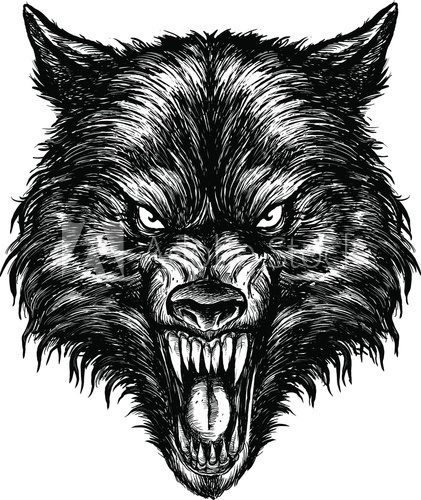 Hand Drawn Wolf Illustration Vector  Na laptopa Naklejka