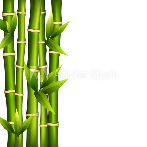 Bamboo on a white background  Na drzwi Naklejka
