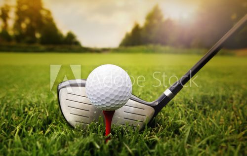Golf club and ball in grass  Sport Plakat
