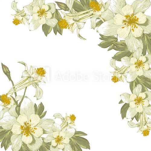 Frame with white blooming flowers  Rysunki kwiatów Fototapeta