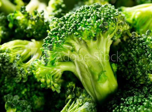 Fresh broccoli  Plakaty do kuchni Plakat