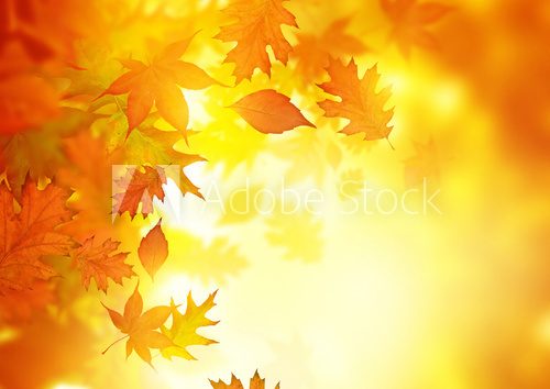 Autumn Falling Leaves  Plakaty do Salonu Plakat