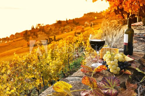 Glass of red wine on the terrace vineyard in Lavaux region, Swit  Obrazy do Kuchni  Obraz