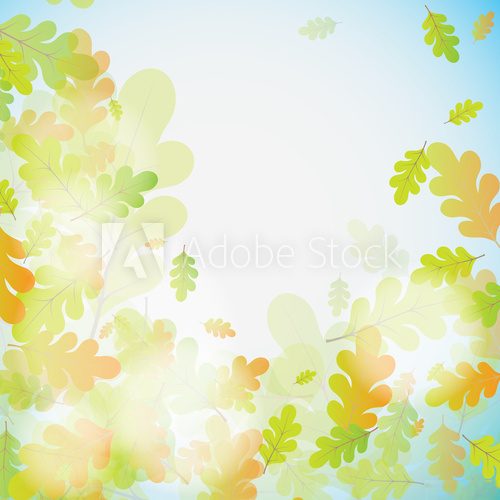 Oak autumn background, vector  Tekstury Fototapeta