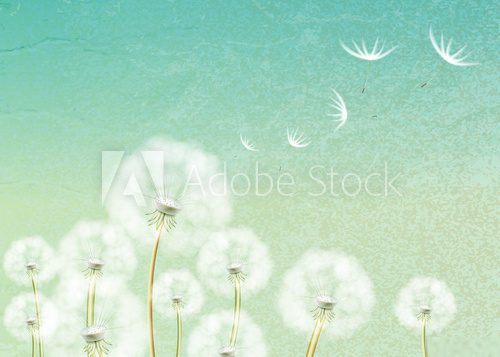 Abstract background with flower dandelion  Na drzwi Naklejka
