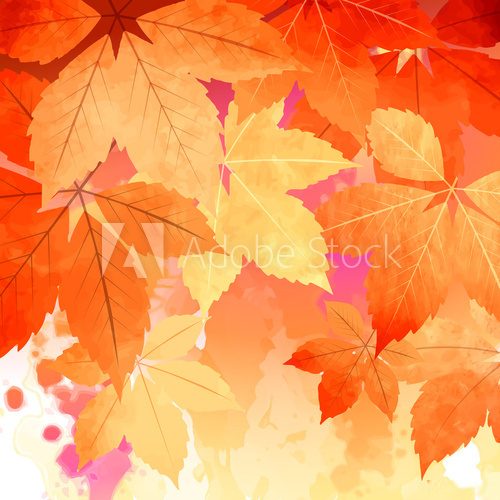 Autumn Vector Watercolor Fall Leaves  Na drzwi Naklejka