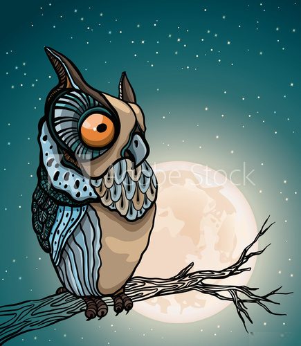 Cartoon owl and full moon.  Na drzwi Naklejka