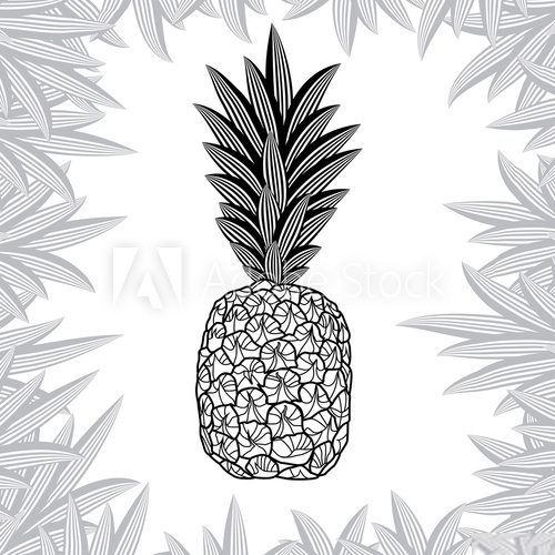 pineapple isolated on white background. Vector illustration  Na lodówkę Naklejka