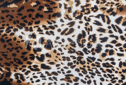 texture of fabric striped leopard  Obrazy do Salonu Obraz
