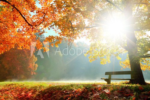Autumn landscape   Obrazy do Sypialni Obraz
