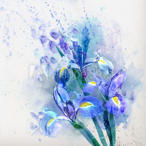 Watercolor iris  Obrazy do Sypialni Obraz