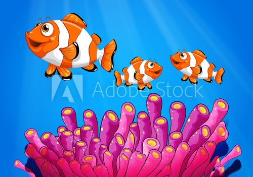 Clownfishes under the sea  Obrazy do Pokoju Dziecka Obraz