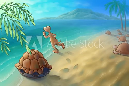 Swimming turtle  Obrazy do Pokoju Dziecka Obraz