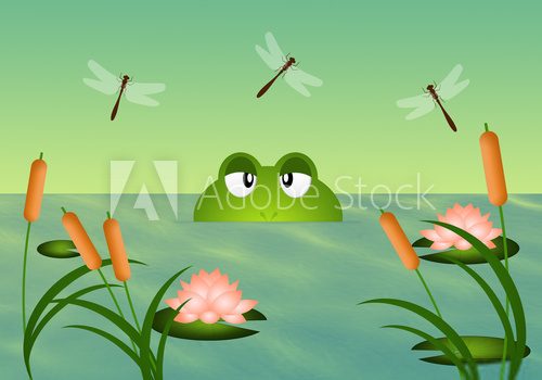 Frog in the pond  Obrazy do Pokoju Dziecka Obraz