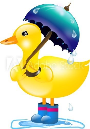 Duck with umbrella in rain  Obrazy do Pokoju Dziecka Obraz