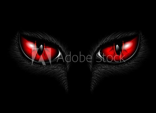 red cat's eyes  Zwierzęta Obraz