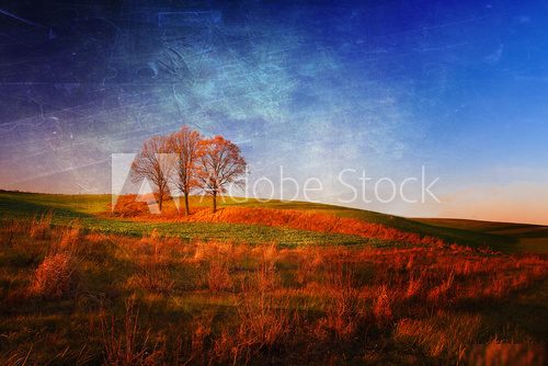 Jesienne pola w stylu retro  Krajobraz Fototapeta