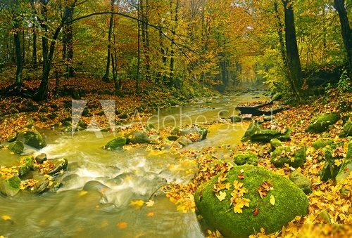 Autumn landscape mountain river  Krajobraz Fototapeta