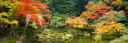 Japanischer Garten im Herbst  Krajobraz Fototapeta