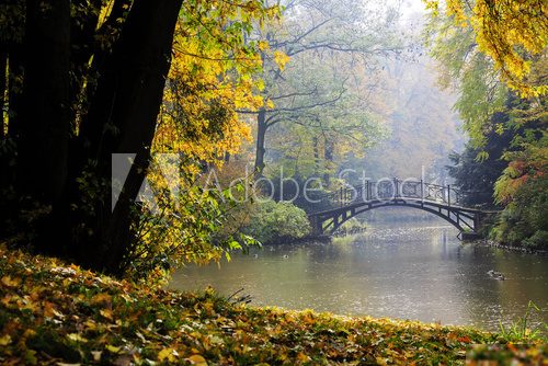 Autumn - Old bridge in autumn misty park  Fototapety Mosty Fototapeta