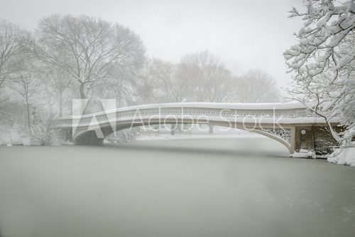 Bow Bridge covered in snow, Central Park, NYC  Fototapety Mosty Fototapeta