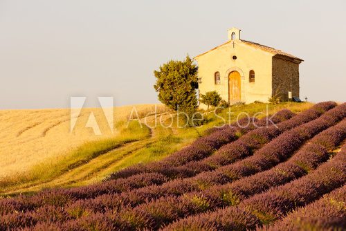 chapel with lavender and grain fields,Valensole,Provence  Prowansja Fototapeta