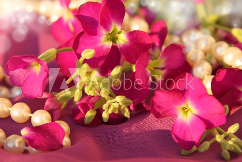Pink flowers and pearls  Kwiaty Plakat