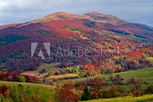 Autumn in the mountains  Pejzaże Plakat