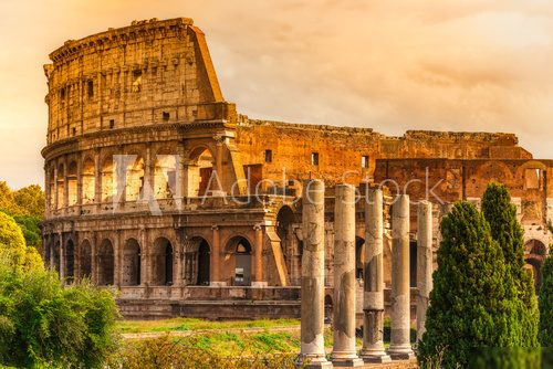 The Majestic Coliseum, Rome, Italy.  Architektura Plakat