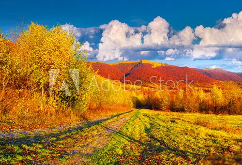 Colorful autumn landscape in the mountains  Plakaty do Sypialni Plakat