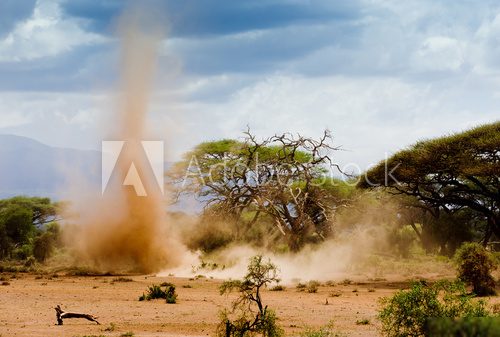 Sand storm in Amboseli  Afryka Fototapeta