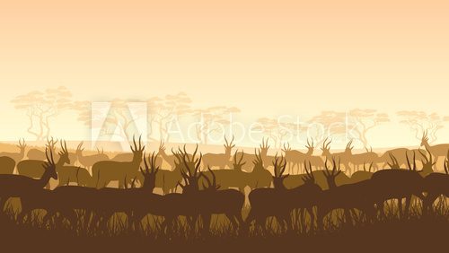 Vector illustration of wild animals in African savanna.  Afryka Fototapeta