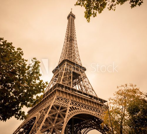 La Tour Eiffel  Fototapety Wieża Eiffla Fototapeta