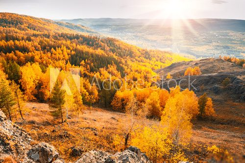 Beautiful view of autumn forest in the mountains  Las Fototapeta