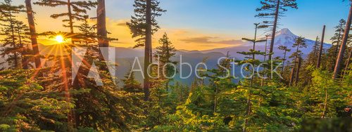 Beautiful Vista of Mount Hood in Oregon, USA.  Las Fototapeta